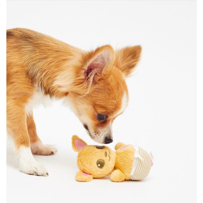 A dog playing with a dog toy that looks like a Chihuahua