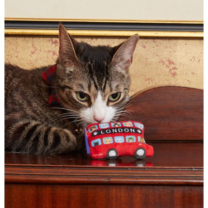 A cat playing with a cat toy that looks like a London bus