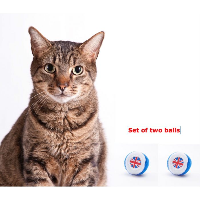 A cat posing with two cat balls with Union Jacks on them