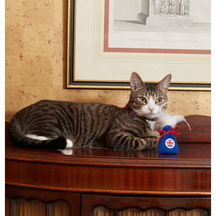 A cat posing with a union jack British cat sac toy