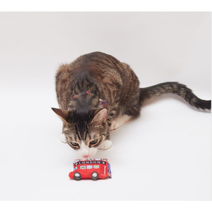 A cat sniffing a toy that looks like a London Bus