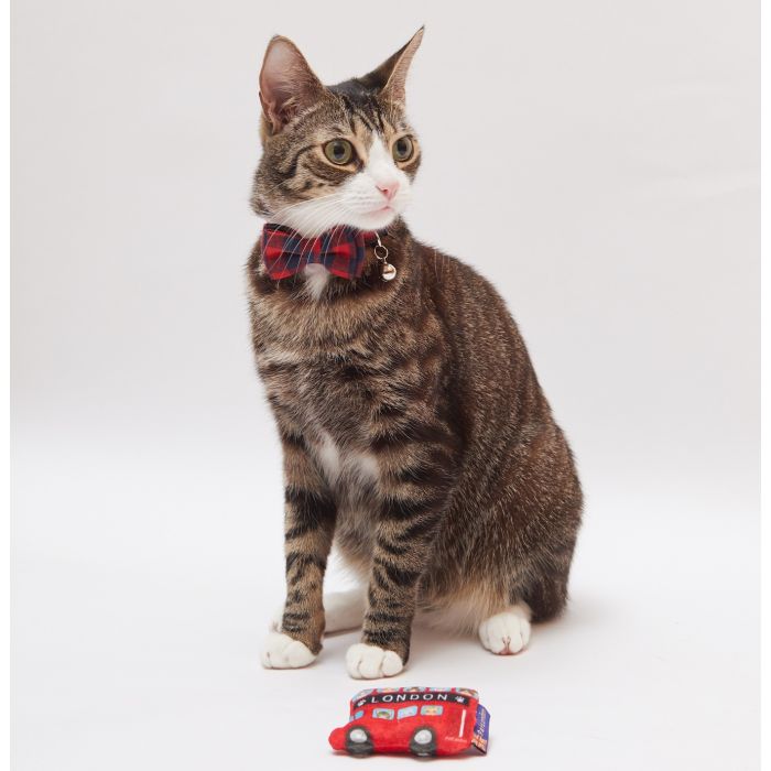 A cat posing with a toy that looks like a London bus