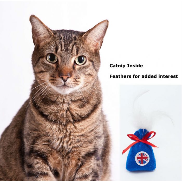 The key features of a British style catnip sac toy for cats