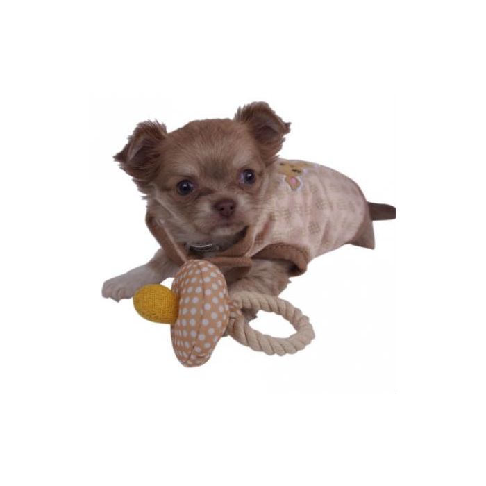 A dog posing with a dog toy that looks like a baby pacifier