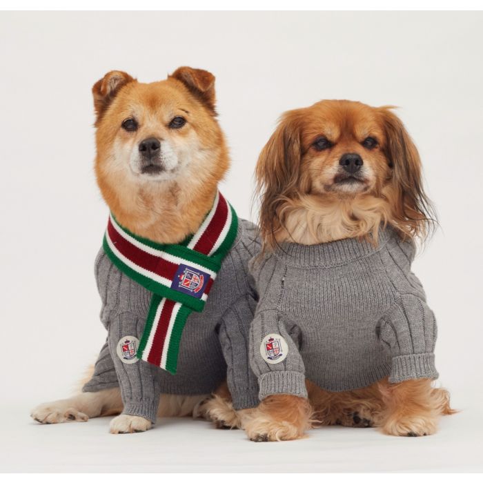 Two dogs model a charcoal dog sweater with an attachable sweater\