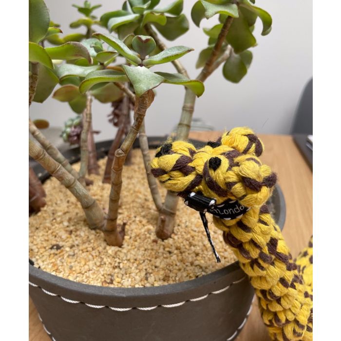 A giraffe rope dog toy next to a plant