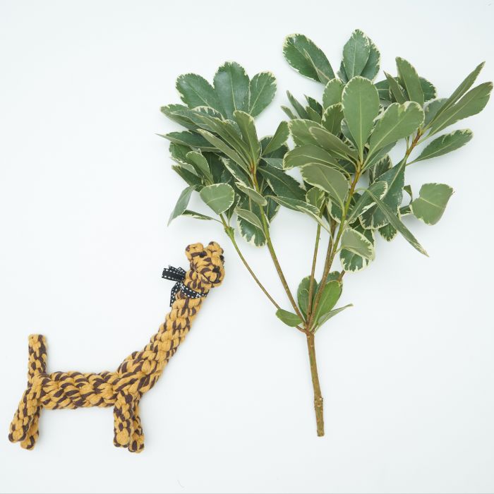 A giraffe rope dog toy next to some leaves