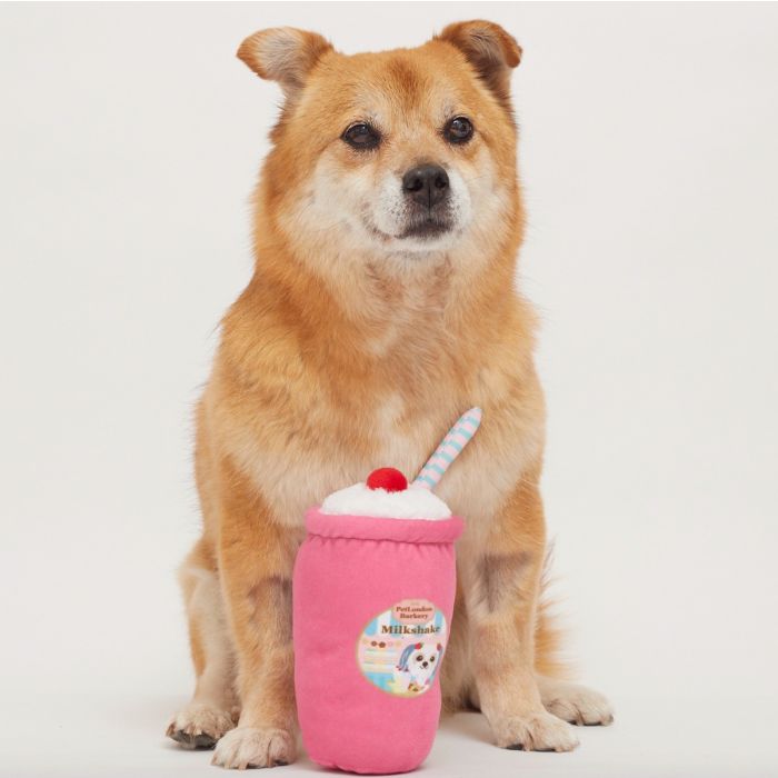 A dog posing with a milkshake dog toy